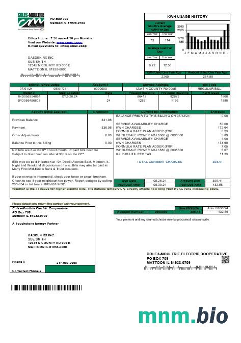 USA Coles-Moultrie rachunek za usługi komunalne szablon w formacie Word i PDF